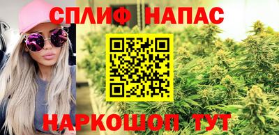 меф Дубна