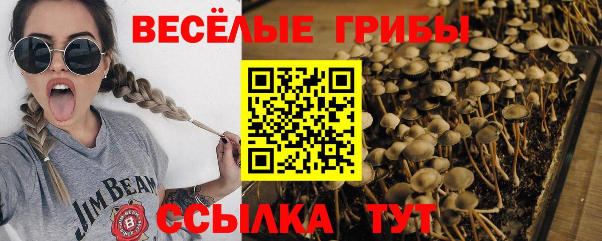 Нефтекумск  Галлюциногенные грибы мицелий  Галлюциногенные грибы мицелий  Вход с VPN 